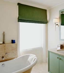 Window Blinds