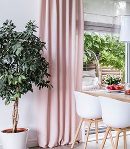 Window Blinds